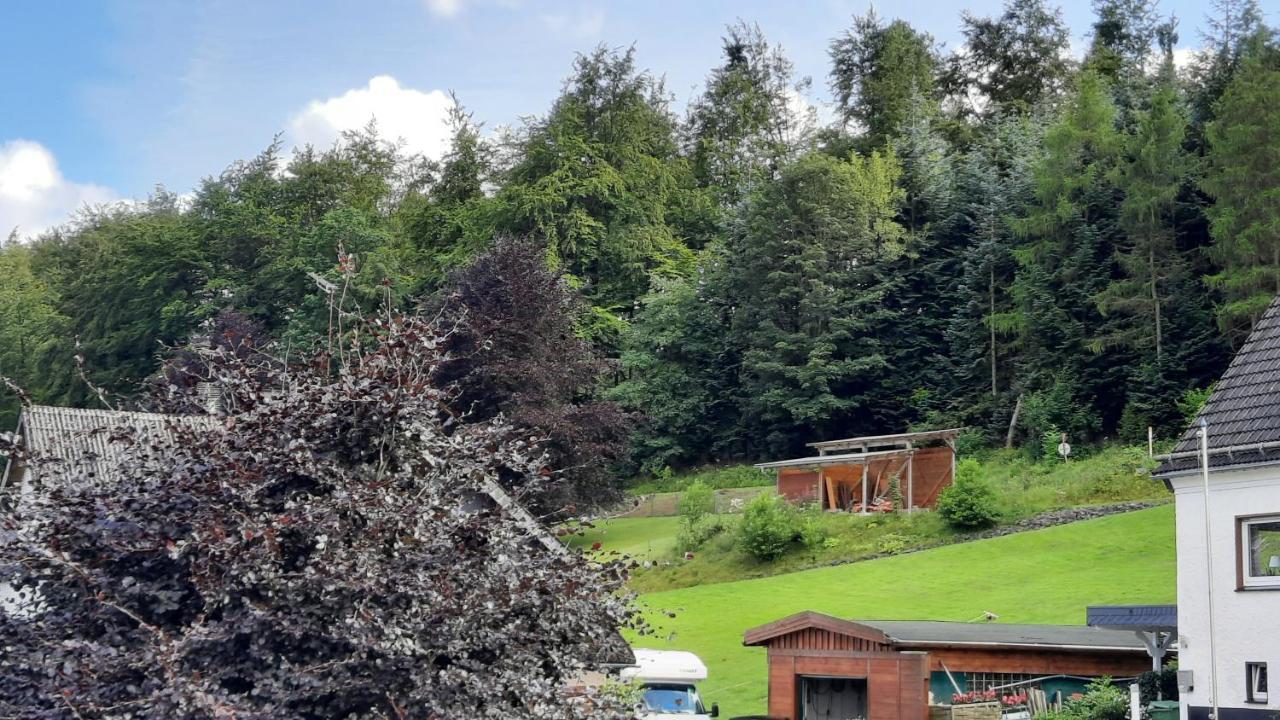 Yalet Ferienhaus 2 Appartementen Vlakbij Willingen Brilon-Wald Exterior photo